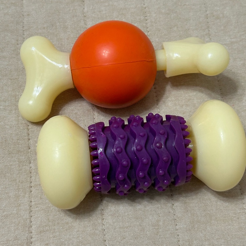 Pet Safe Busy Buddies in Good Condition